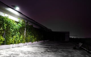 solar light for outdoor